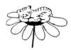 Photo Number 1