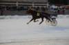 img_7818_small.jpg