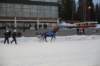 img_7827_small.jpg