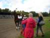 dsc03881_small.jpg