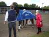 dsc03884_small.jpg